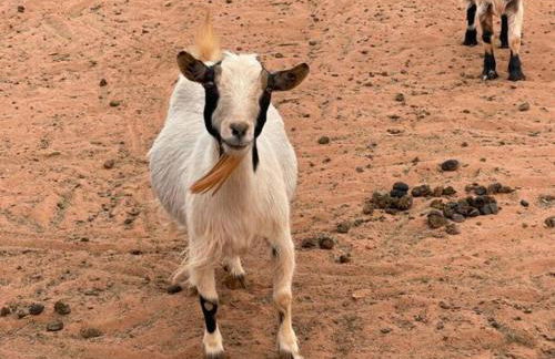 Denim and Diamonds - Foto 31