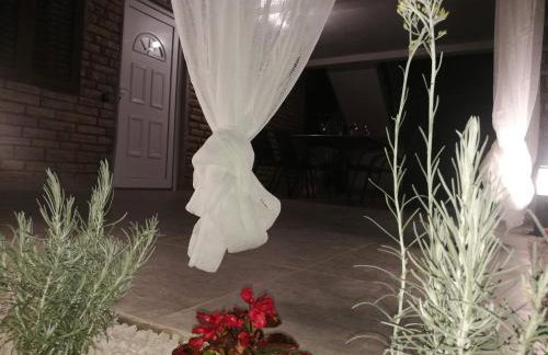 Apartments KUS Ugljan - Photo 37