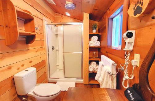 Sequoia Splendor, inside Kings Canyon NP by Visitors Center - Foto 39