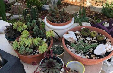 Panorama Sevid - Foto 58