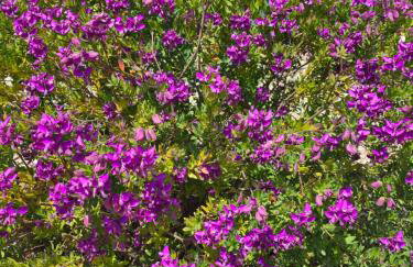 Un petit coin de paradis à Casa Bébé - Photo 51