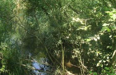 Appartementhaus Löwenzahn - Foto 24