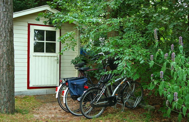 Cozy Holiday Home in Nunspeet near Forest - Photo 28