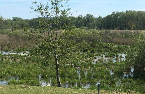 Ferienhaus-Wiesengrund - Photo 47