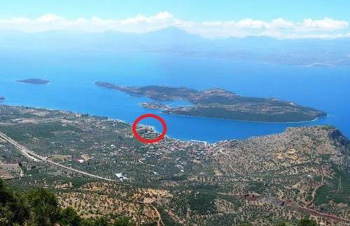 Haris Suites - Photo 19