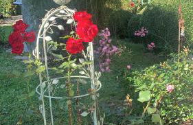 Bezaubernde Ferienwohnung mit Rosengarten - Foto 13