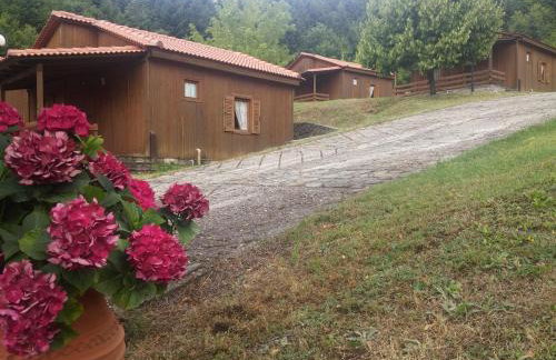 Livadaki Village - Δασικό Χωριό Λιβαδάκι - Foto 44