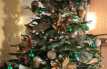 Tern Place - Photo 16