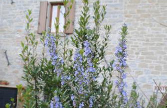 Agriturismo Campo Rosso - Foto 117