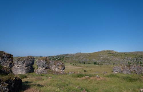 Le p'tit pelet - Foto 17