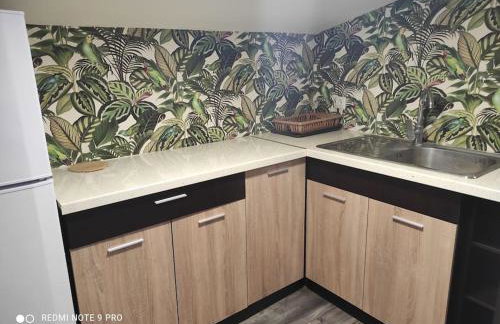 Σοφίτα Καλλύνω - Foto 12