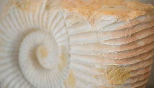 Ferienwohnung im Palais am See am Goitzschesee - Foto 2