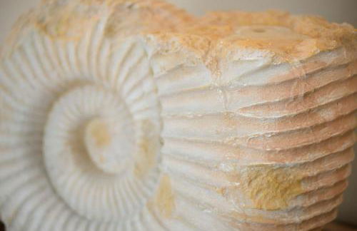 Ferienwohnung im Palais am See am Goitzschesee - Foto 2