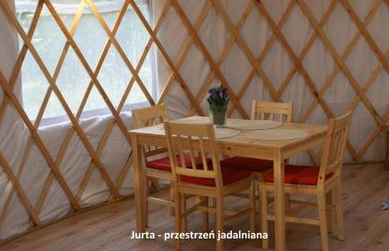 Domek i jurta nad rzeką - Foto 7