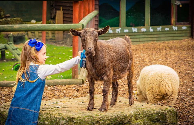 Entrada a Chessington World of Adventures - Foto 7