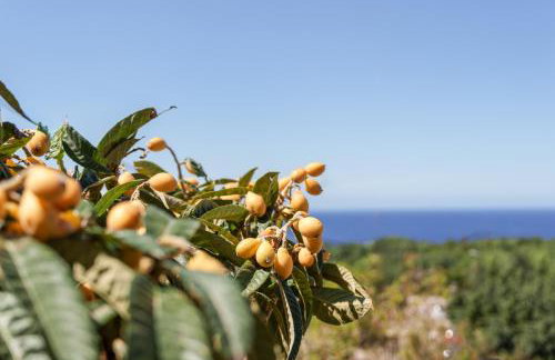 Sunset bliss home in Atsipopoulo Village - Foto 21