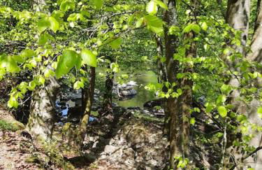 Chalet à L'orée du bois avec parking - Foto 21