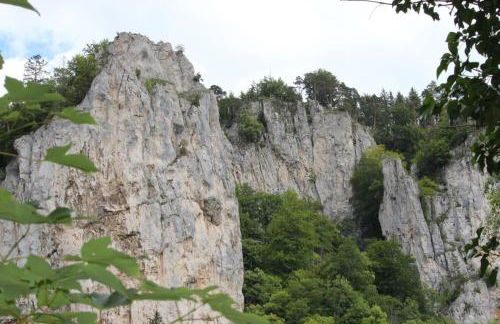 Ferienwohnung auf der Baar - Photo 34
