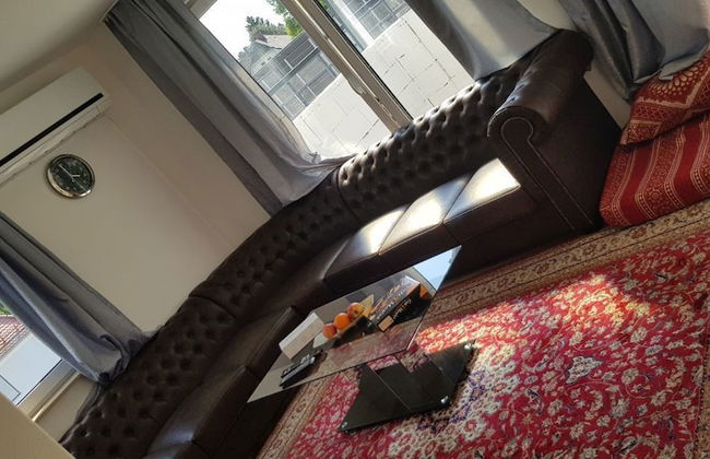 Sahara Falcon - Foto 79