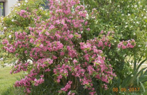 Gîte confortable à Huismes, proche de Chinon avec cour fermée - FR-1-381-370 - Foto 29