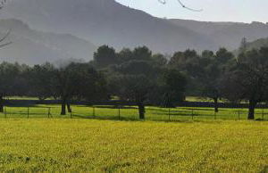 Holiday home Can Pontico - Photo 14