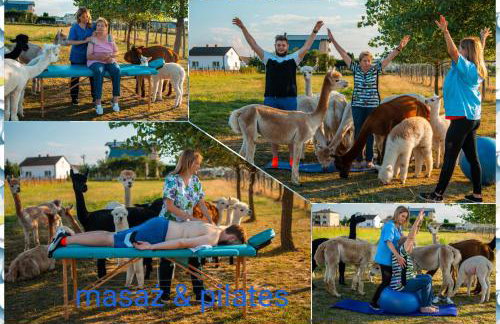 Alpaka-Ranczo AFF - Foto 27