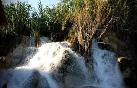 Agriturismo Sugheretello - Foto 46