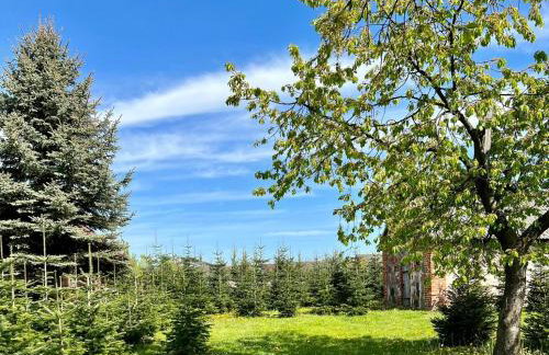 Sielski Dom I Sauna i Jacuzzi dodatkowo płatna opcja - Foto 32