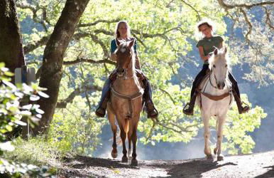 Residence Gli Ulivi - Foto 27