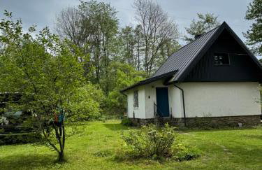 Zdzisiówka - Foto 45