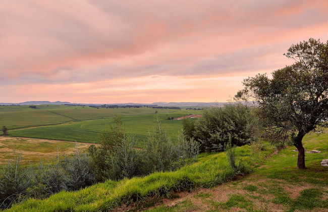 First Group Midlands Saddle and Trout - Photo 68