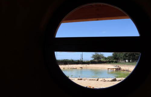 Associação Quinta das Relvas - Foto 79