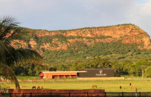 Chalé em Frente ao Terroir Pantanal - Foto 1