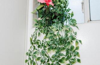 Serene Silver Lake 1 bedroom 1 bathroom Back house With Private Backyard - Photo 51