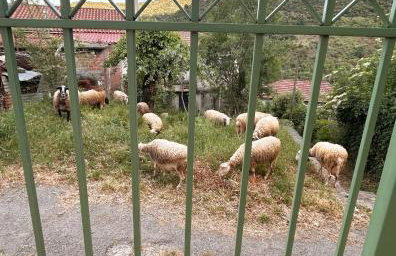 Galini Retreat - Foto 19