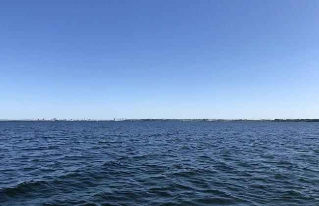 Ostseekrabbe - Foto 23