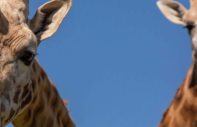 Excursión al Bioparque Estrella - Photo 1