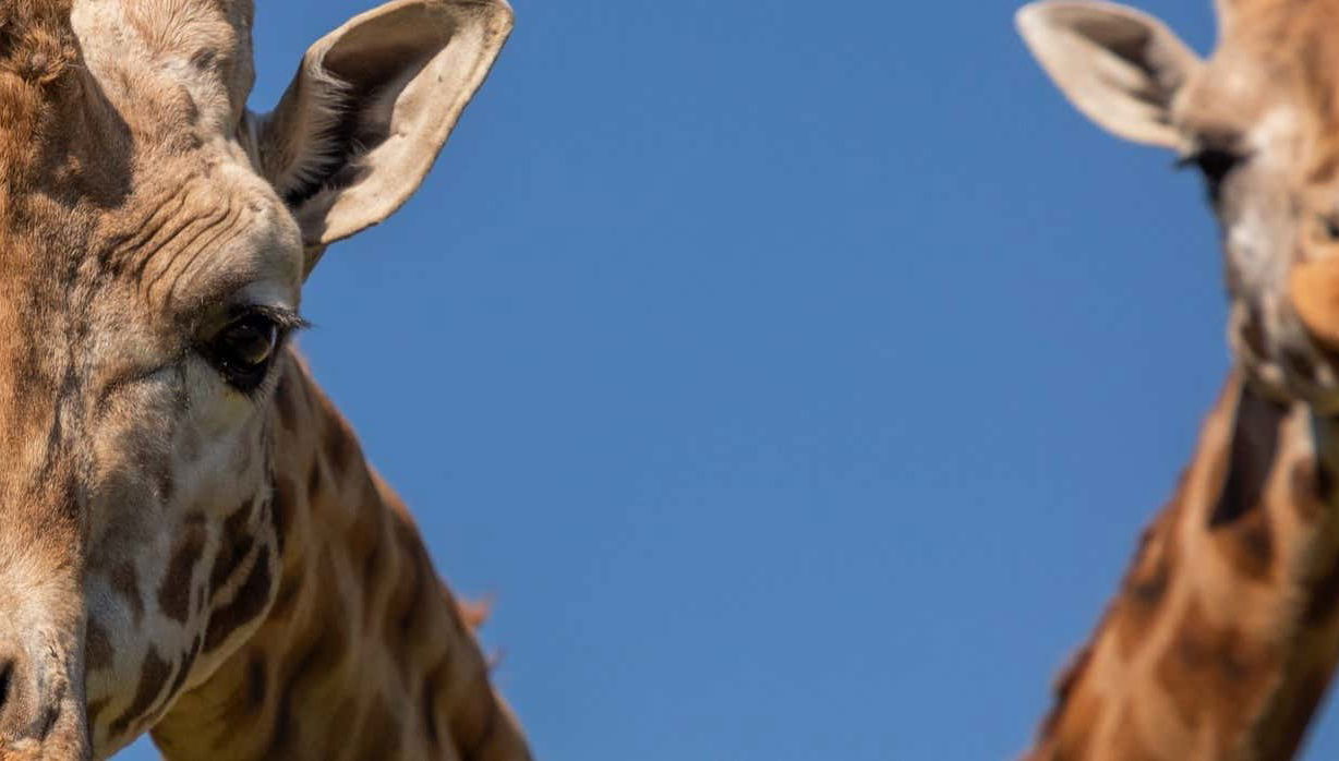 Tour in Queretaro - Photo 1