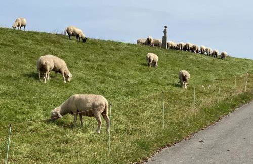 Holiday Apartment Elbe - Foto 63