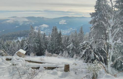 Grand Mobil Home 6 personnes climatisé avec 3 chambres et 2 salles de bains à Munster en Alsace - Foto 31