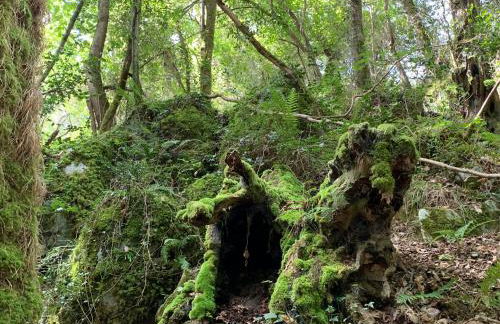 Agroturismo Urresti - Foto 99