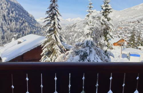 Chalet le Petit Ramoneur - Foto 13