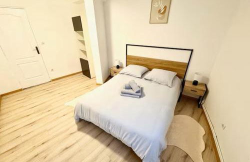 Spacieux appartement 3 chambres à Strasbourg - Foto 4