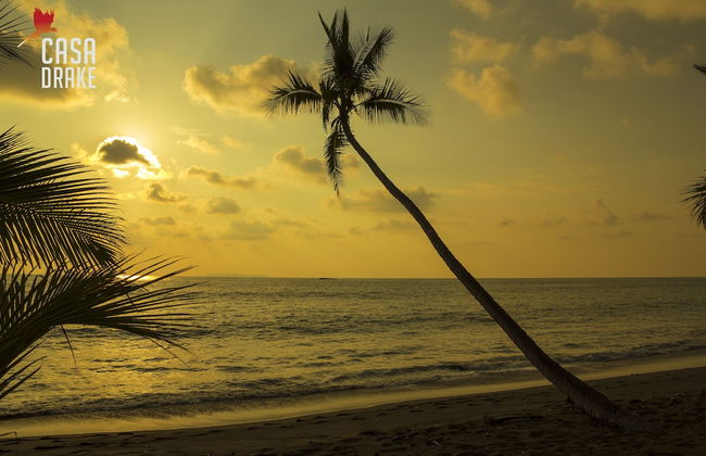 Room-private Honeymoon Bungalow - Foto 12