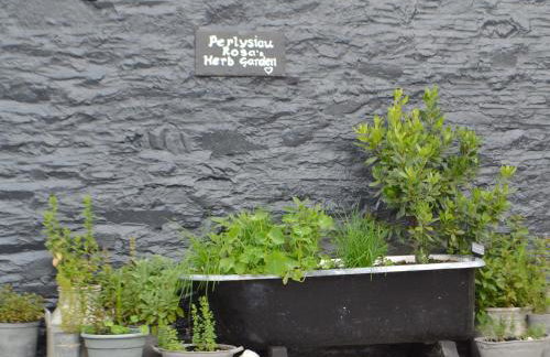 Caffi Sali - Weluk143 - Foto 16