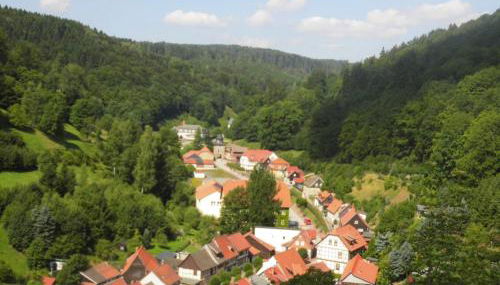 Ferienwohnungen im Harz - Foto 4