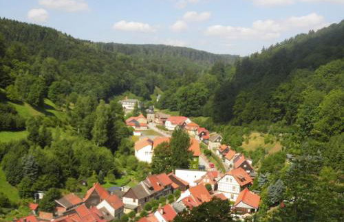 Ferienwohnungen im Harz - Foto 4