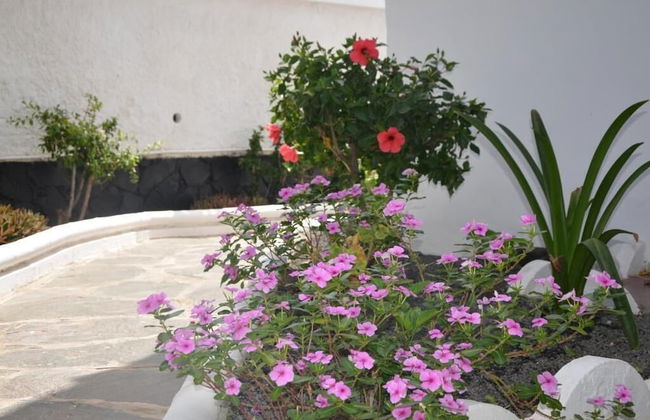 Alsol Las Orquideas - Foto 34