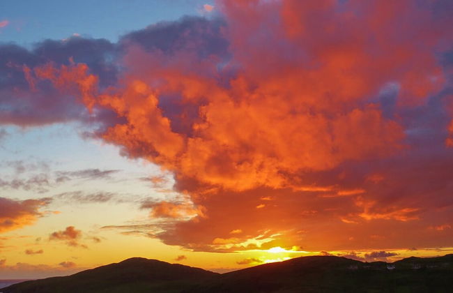 27 Garenin - Photo 15