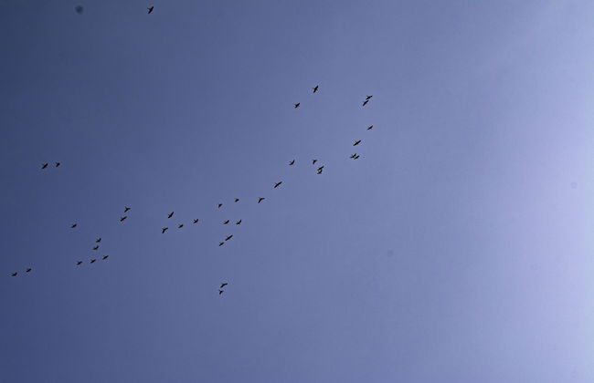 URUHome Cusco - Foto 43